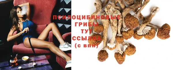 спайс Волоколамск