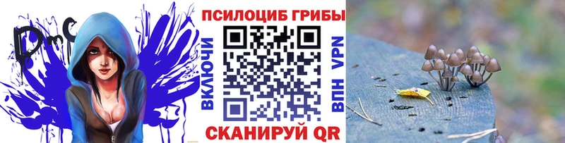 Псилоцибиновые грибы прущие грибы  Купить где  Родники 